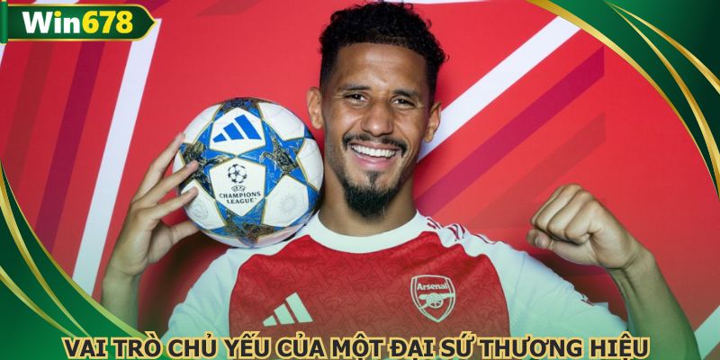 Vai trò chủ yếu của một đại sứ thương hiệu